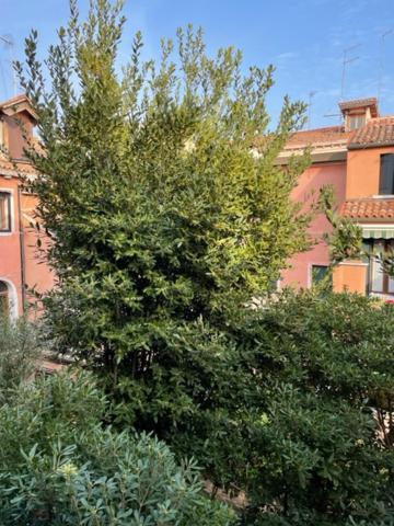 Ca' Della Carita' Veneza Exterior foto